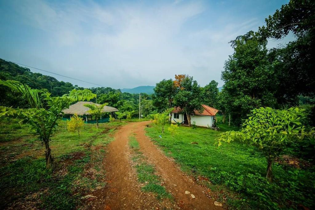 Aadhavana Homestay - Sakleshpur Māranhalli Exterior foto